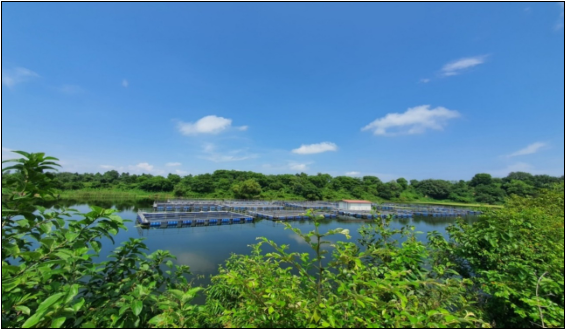 Rohini Plantation & Pisciculture by CCL